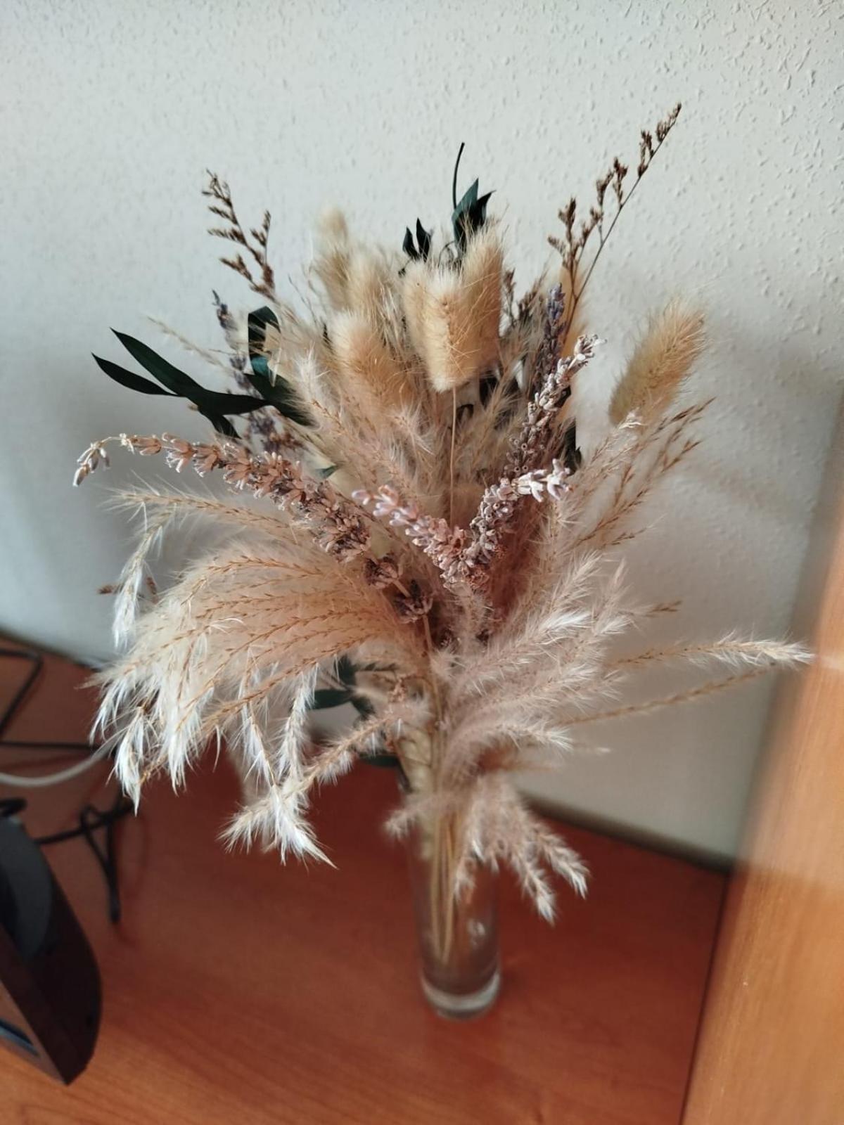 Apartamento El Dejo Onís Dış mekan fotoğraf